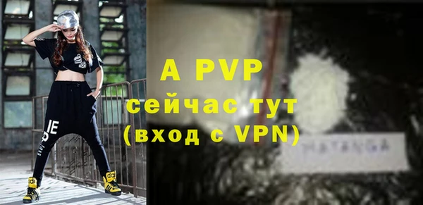 ГАЛЛЮЦИНОГЕННЫЕ ГРИБЫ Белокуриха