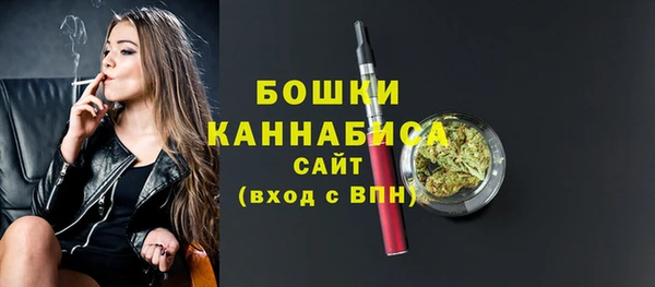 ГАЛЛЮЦИНОГЕННЫЕ ГРИБЫ Белокуриха