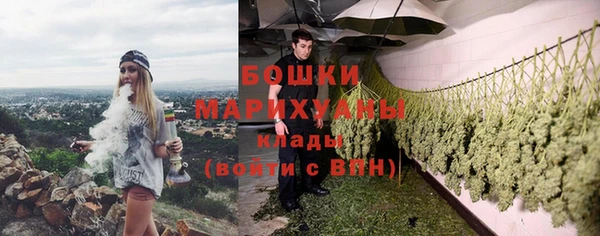 молекула духа Белоозёрский