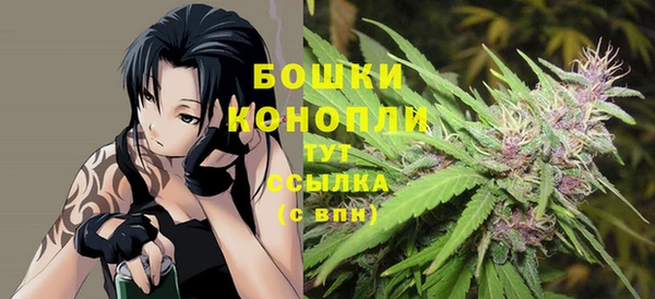 молекула духа Белоозёрский