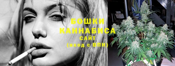 ГАЛЛЮЦИНОГЕННЫЕ ГРИБЫ Белокуриха