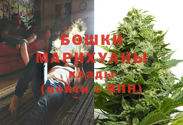 ГАЛЛЮЦИНОГЕННЫЕ ГРИБЫ Белокуриха