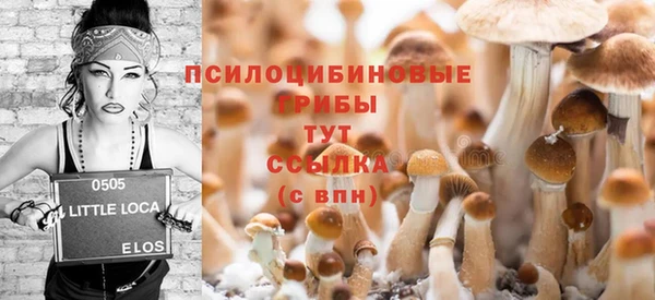 молекула духа Белоозёрский