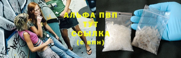 ГАЛЛЮЦИНОГЕННЫЕ ГРИБЫ Белокуриха