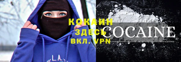 молекула духа Белоозёрский