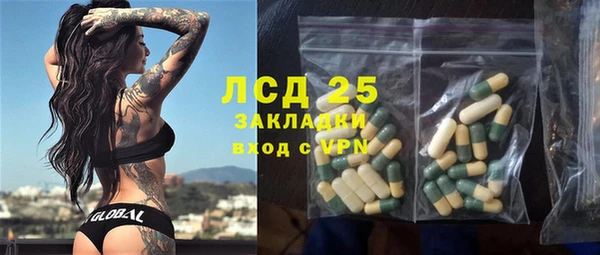 ГАЛЛЮЦИНОГЕННЫЕ ГРИБЫ Белокуриха