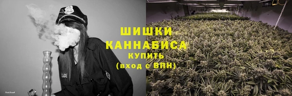 ГАЛЛЮЦИНОГЕННЫЕ ГРИБЫ Белокуриха