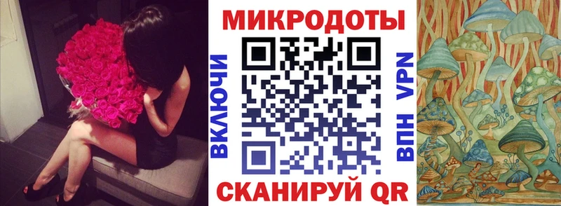 закладка нарко площадка состав Псилоцибиновые грибы Psilocybine cubensis Ярославль